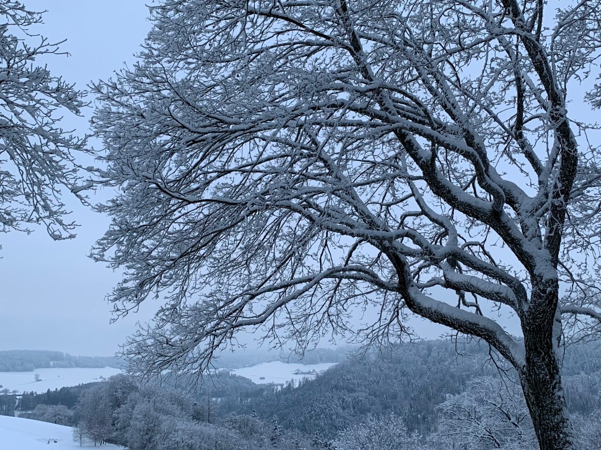 Das Märchen vom glücklichen föderalistischen Königreich